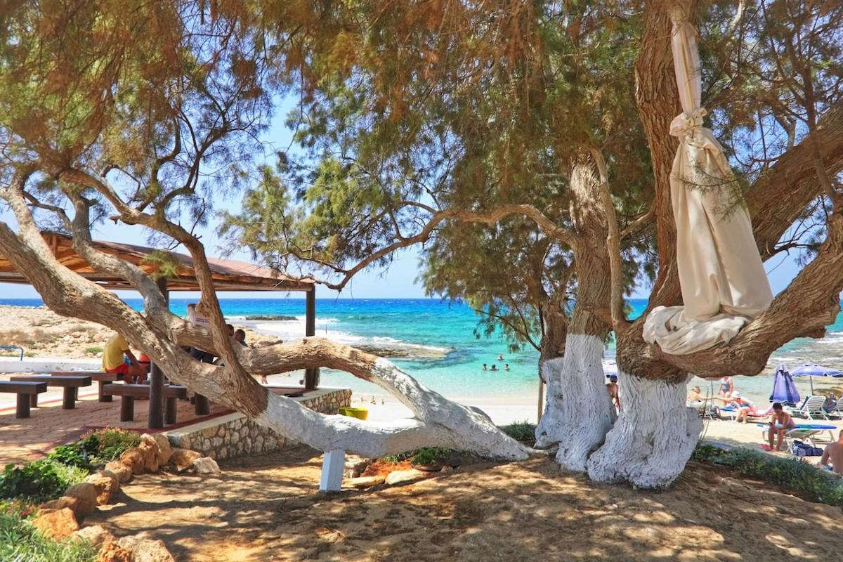Beachfront Luxury Villa Idania Айя Напа Екстериор снимка